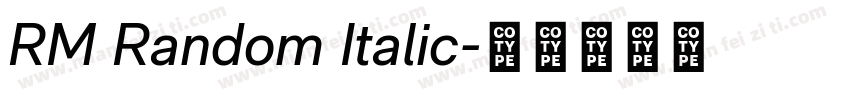 RM Random Italic字体转换